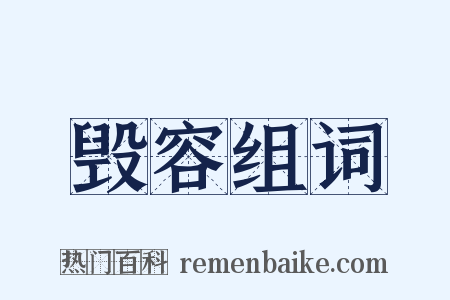 毁容组词是什么意思的图片